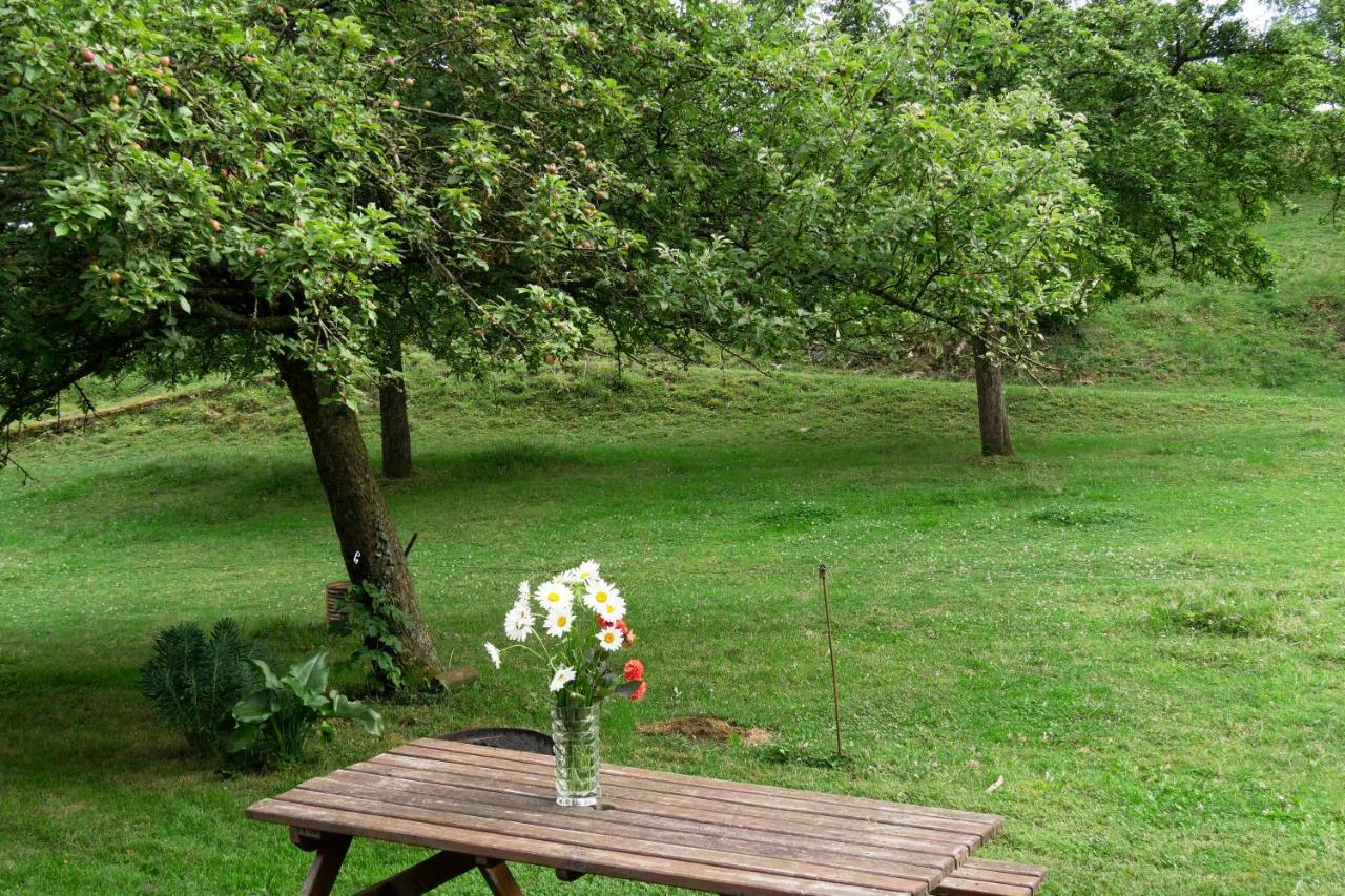 La Petite Maison O Bord De L'Eau Bernieres-le-Patry 외부 사진