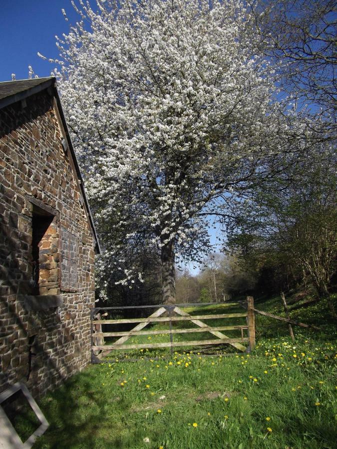 La Petite Maison O Bord De L'Eau Bernieres-le-Patry 외부 사진